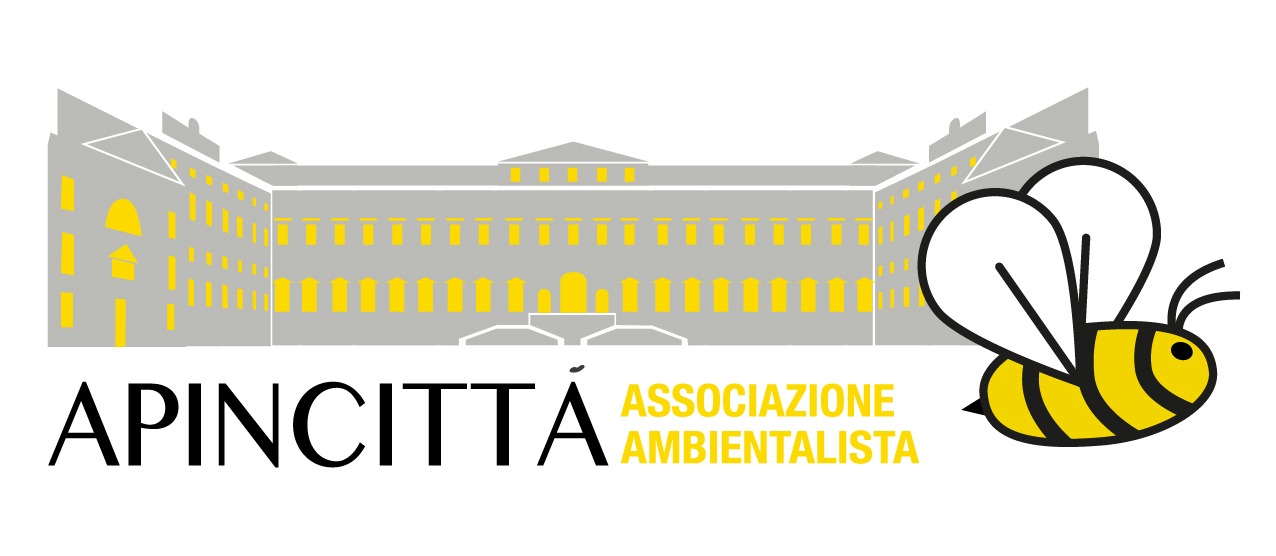 Apincittà